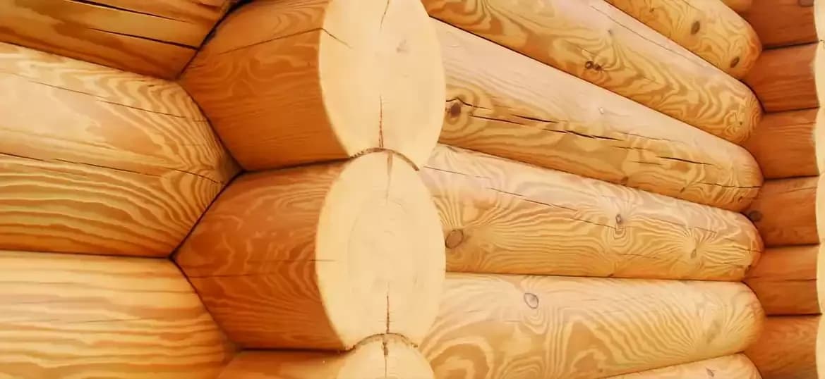 Шлифовка стен из оцилиндрованного бревна