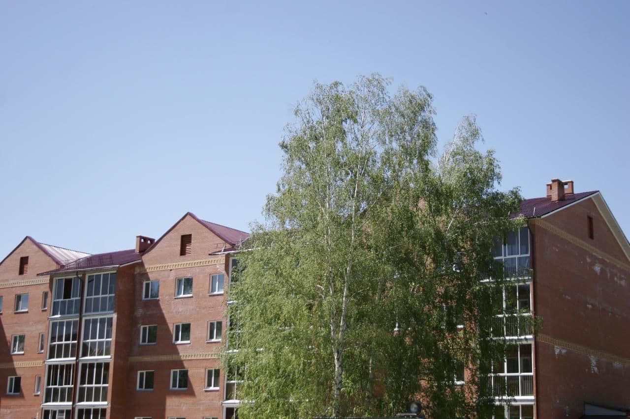 Фото проекта 9