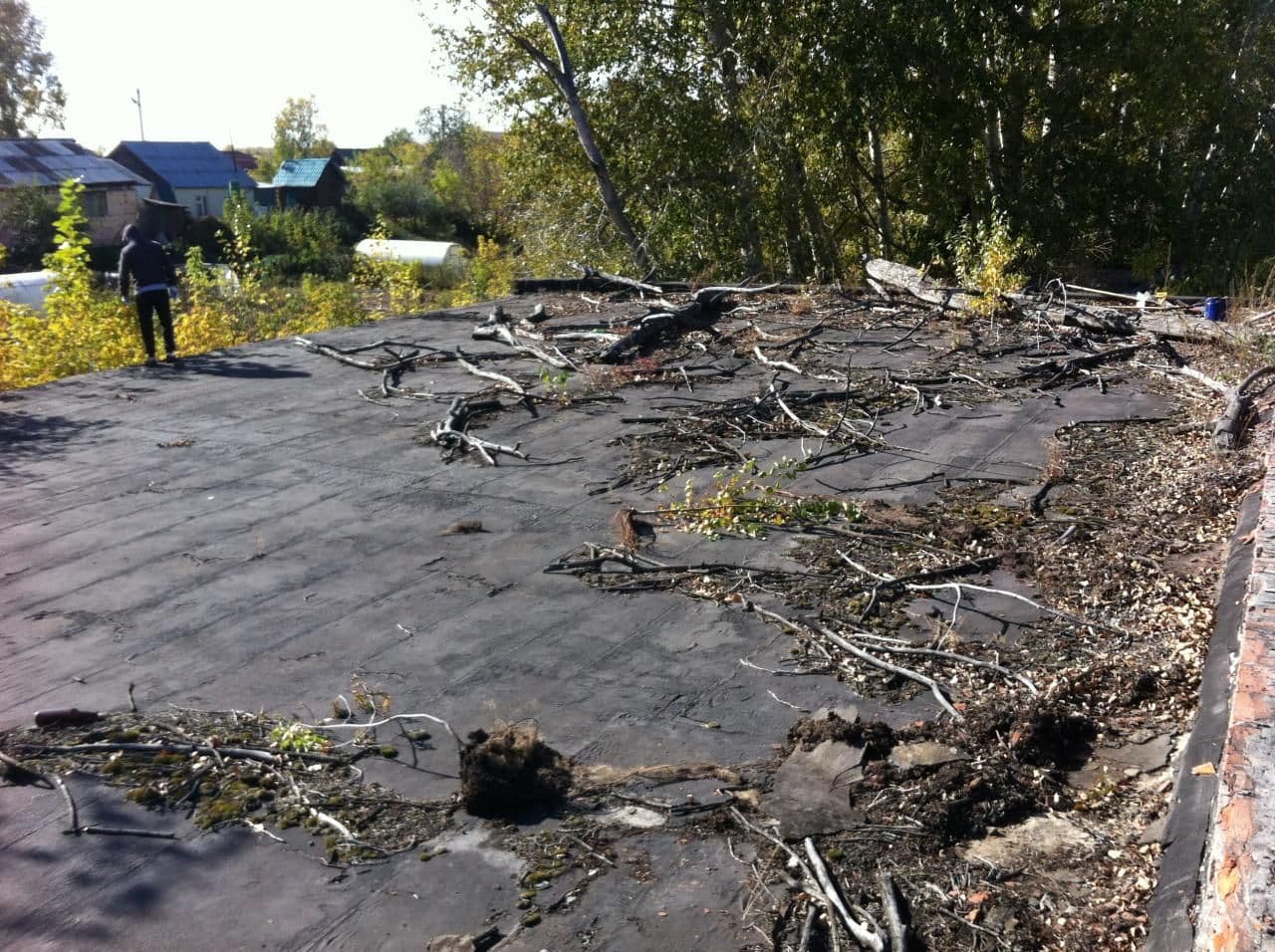 Фото проекта 2